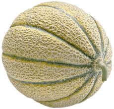 Image result for Melone