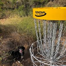 Image result for Bongos Disc Golf Club