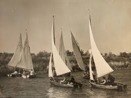 Image result for Beccles Amateur Sailing Club