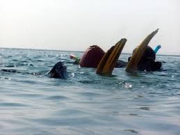 Image result for Dorking Snorkelling Club