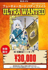 「ソフィア・サハロフ フューチャーカード バディファイト」の画像検索結果