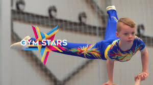 Image result for Gym Stars