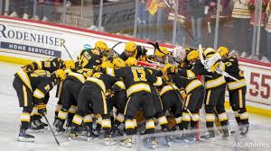 Image result for Ice Hockey International