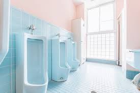 js トイレ|公共トイレ「日本は危険」、盗撮やわいせつから子ども守れ\u2026小型 ...