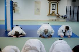 Image result for AikidoFlow