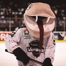 Image result for Glasgow Vipers Roller Hockey Club