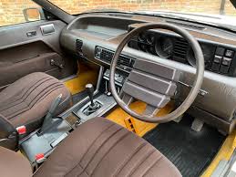 Image result for Pendelican White 1979 Jaguar