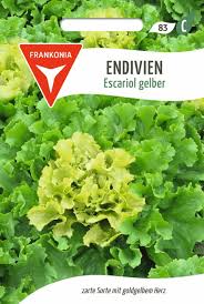 Image result for Endivie