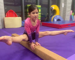 Image result for Jayenell Gymnastics Club