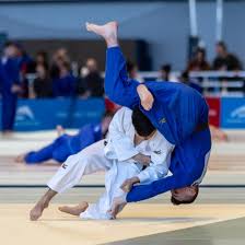 Image result for Halton Inclusive Judo Club