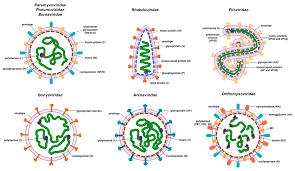 Image result for  f g   C g  p  