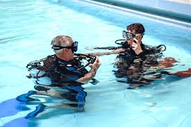 Image result for Mole Valley Sub Aqua Club