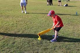 Image result for Ifield Cricket Club