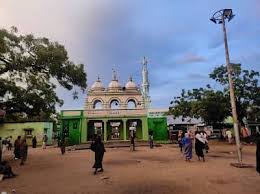 Image result for Erwadi