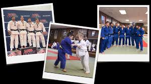 Image result for Twyford Higashi Karate Club