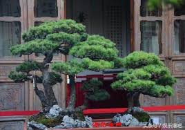 Image result for 艰苦阅历 孔泰初