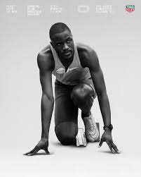 Image result for Tobogo