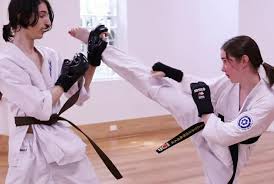 Image result for Jin Sei Kai Shotokan Karate