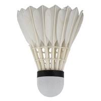 Image result for Struttles Badminton Club