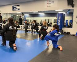 Image result for Elite Martial Arts Academy
