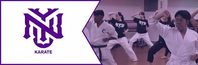 Image result for York University Karate Club