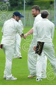 Image result for Luctonians Cricket Club