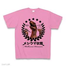 メシウマ에 대한 이미지 검색결과