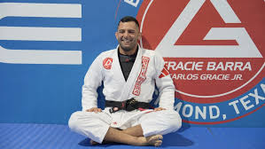 Image result for Guerrero Martial Arts