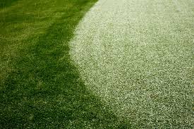 Image result for South Pembrokeshire Golf Club