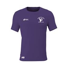 Image result for Wyvern Ladies Netball Club