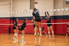 Image result for Tendring Volleyball Club