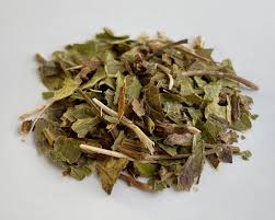 Attēlu rezultāti vaicājumam “Pyrola rotundifolia fruit”