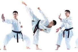 Image result for Charnwood Shoto Ryu Karate kai