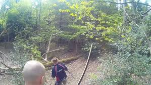 Image result for Cloth Of Gold Field Archery Club