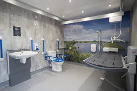 Image result for Dearne Valley Swimming Club