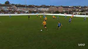 Image result for Buckland & Milber Football Club