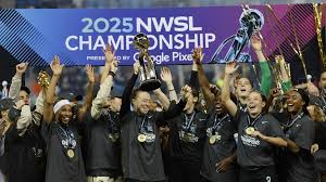 Image result for Gotham Soccer League