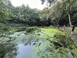 Image result for Penketh & Old Hall Angling Society