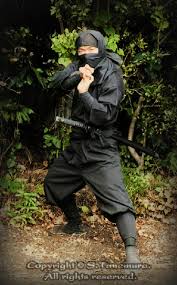 Image result for Inyo Karate Do Ninbukan