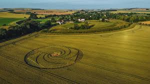 Image result for crop circles
