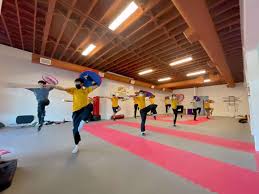 Image result for Dragon Wushu Club