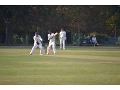 Image result for Potten End Cricket Club