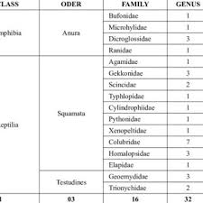 Attēlu rezultāti vaicājumam “Collaria rubens spores”