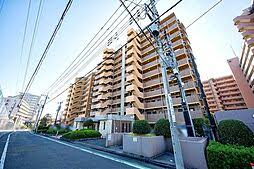 Image result for 東大和市立野3丁目〈中古〉西武拝島線「玉川上水」駅徒歩14分　2路線利用可能　2025年8月リフォーム完成予定　3LDK　全居室ウォシュレット付　商業施設充実
