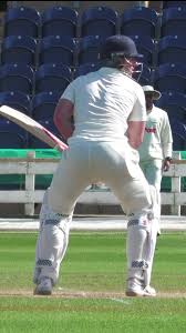 Image result for Halstead Cricket Club