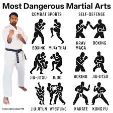Image result for Combined self defence arts