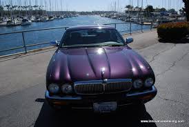 Image result for Amananth Purple 1999 Jaguar