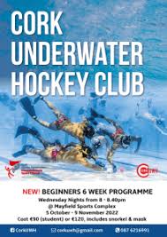 Image result for Underwater Hockey Ireland