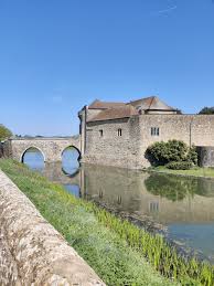 Image result for Go Ape! Leeds Castle