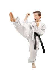 Image result for Synergy Tae Kwon Do